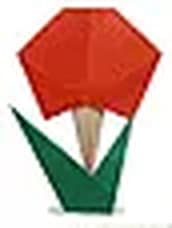 Hướng dẫn gấp Hoa bằng giấy - Gấp giấy Origami