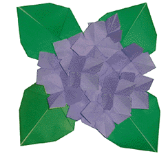 Hướng dẫn gấp Hoa dương tử - Gấp giấy Origami