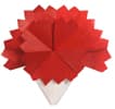 Hướng dẫn gấp Hoa cẩm chướng - Gấp giấy Origami