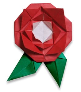 Hướng dẫn gấp Hướng gấp Chong chóng hình bông hoa - Gấp giấy Origami