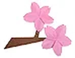 Hướng dẫn gấp Hoa anh đào - Gấp giấy Origami