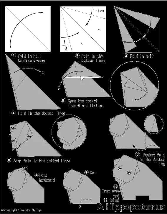 Hướng dẫn gấp Hà mã - Gấp giấy Origami