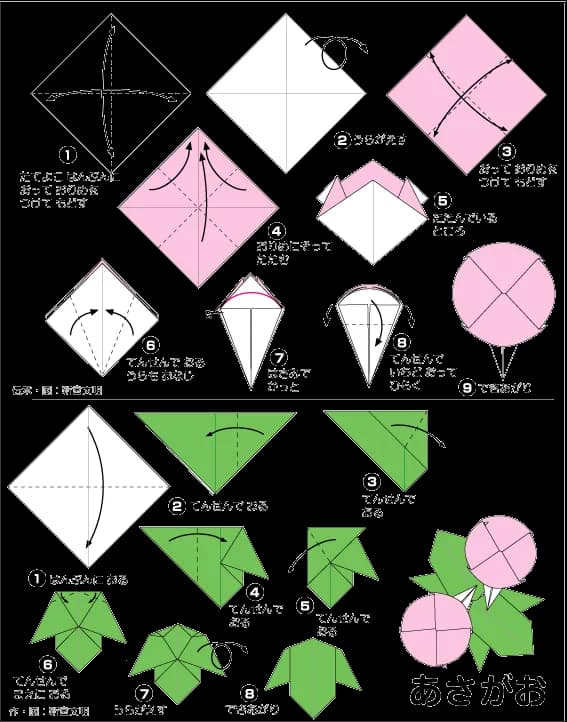 Hình ảnh hướng dẫn cách gấp giấy hoa bìm bìm - Gấp giấy Origami