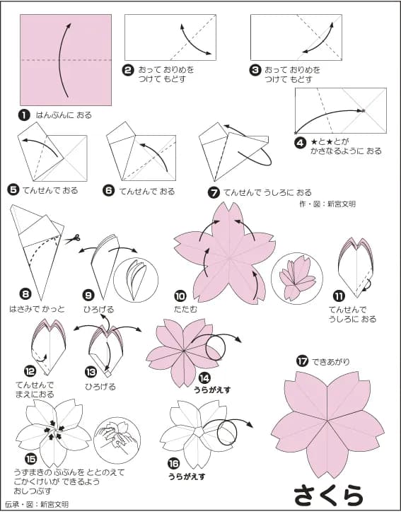 Hướng dẫn gấp Hoa anh đào - Gấp giấy Origami