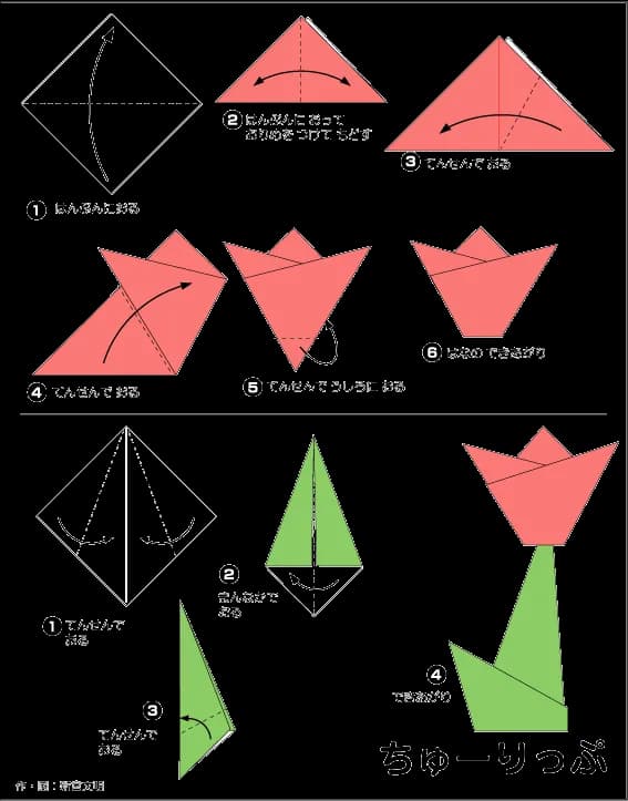 Hướng dẫn gấp Hoa tu líp - Gấp giấy Origami