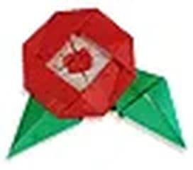 Hướng dẫn gấp Hoa sơn trà - Gấp giấy Origami