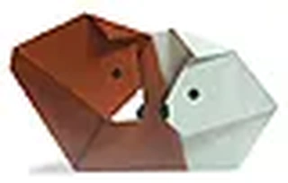 Hướng dẫn gấp Đôi gấu - Gấp giấy Origami