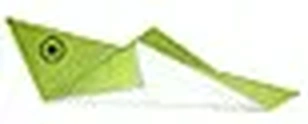 Hướng dẫn gấp Châu chấu - Gấp giấy Origami