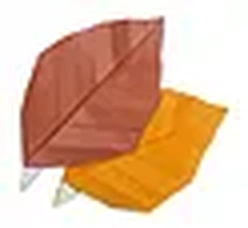 Hướng dẫn gấp Lá mùa thu - Gấp giấy Origami