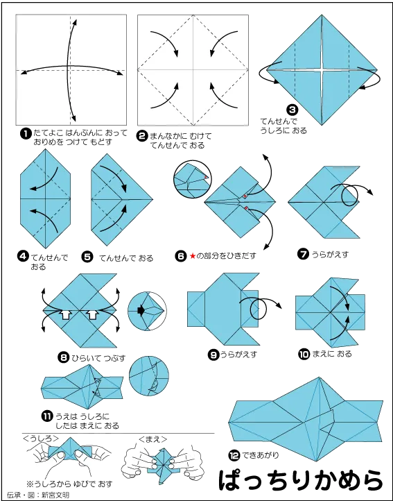 Hình ảnh hướng dẫn cách gấp máy ảnh - Gấp giấy Origami