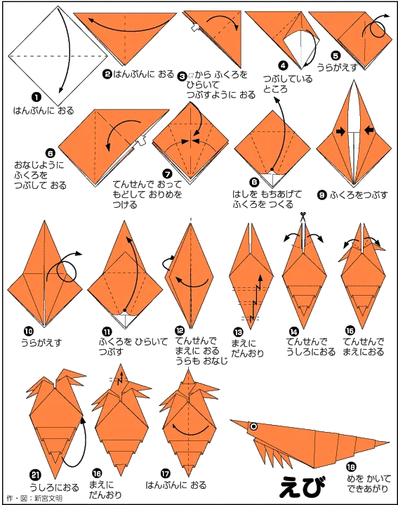 Hình ảnh hướng dẫn cách gấp con tôm - Gấp giấy Origami