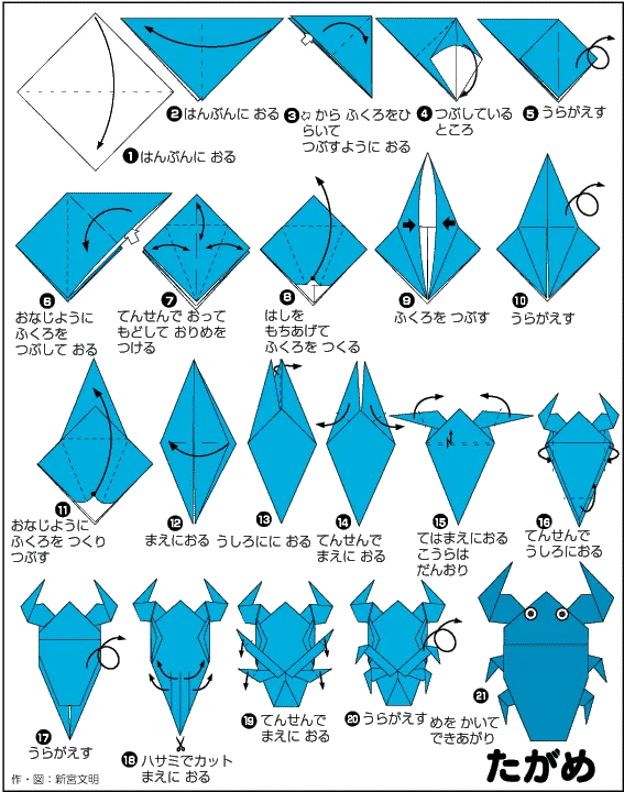Hướng dẫn gấp Cà cuống - Gấp giấy Origami diagram